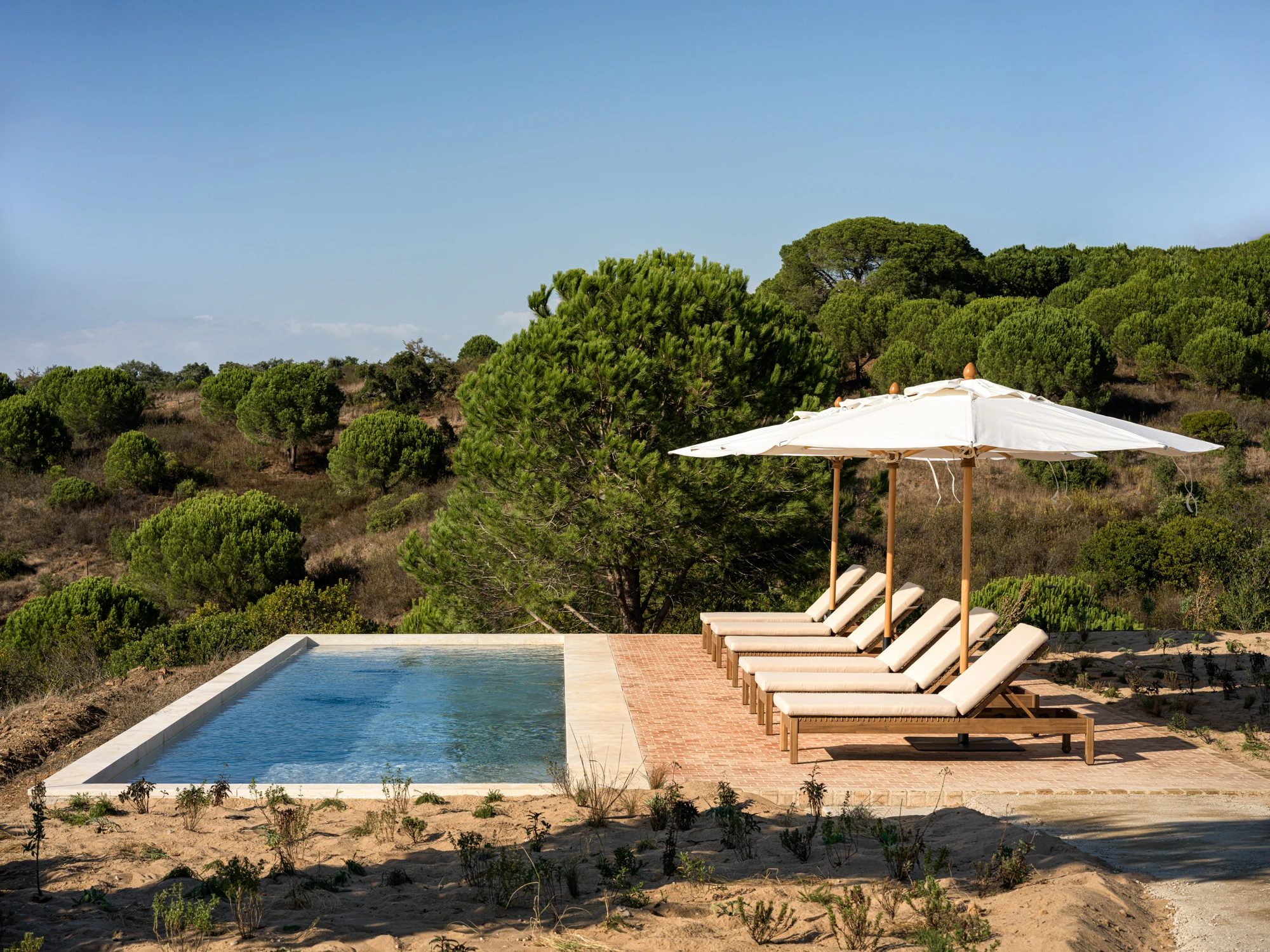 The lioz limestone saltwater pool, with loungers and a parasol above the dunes.